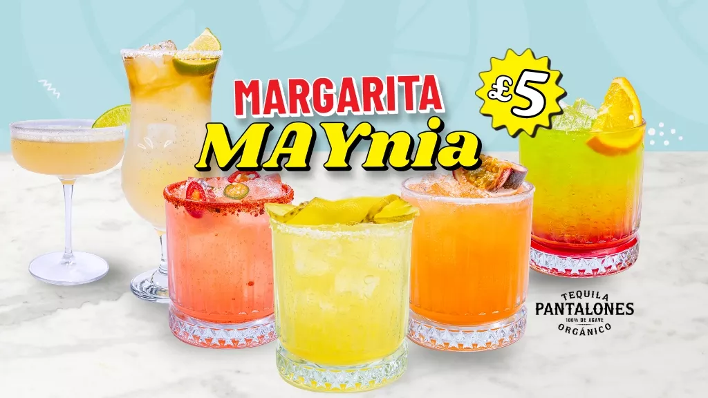 Margarita Maynia
