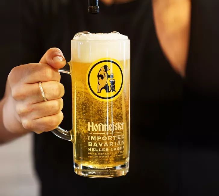 Hoffmeister beer